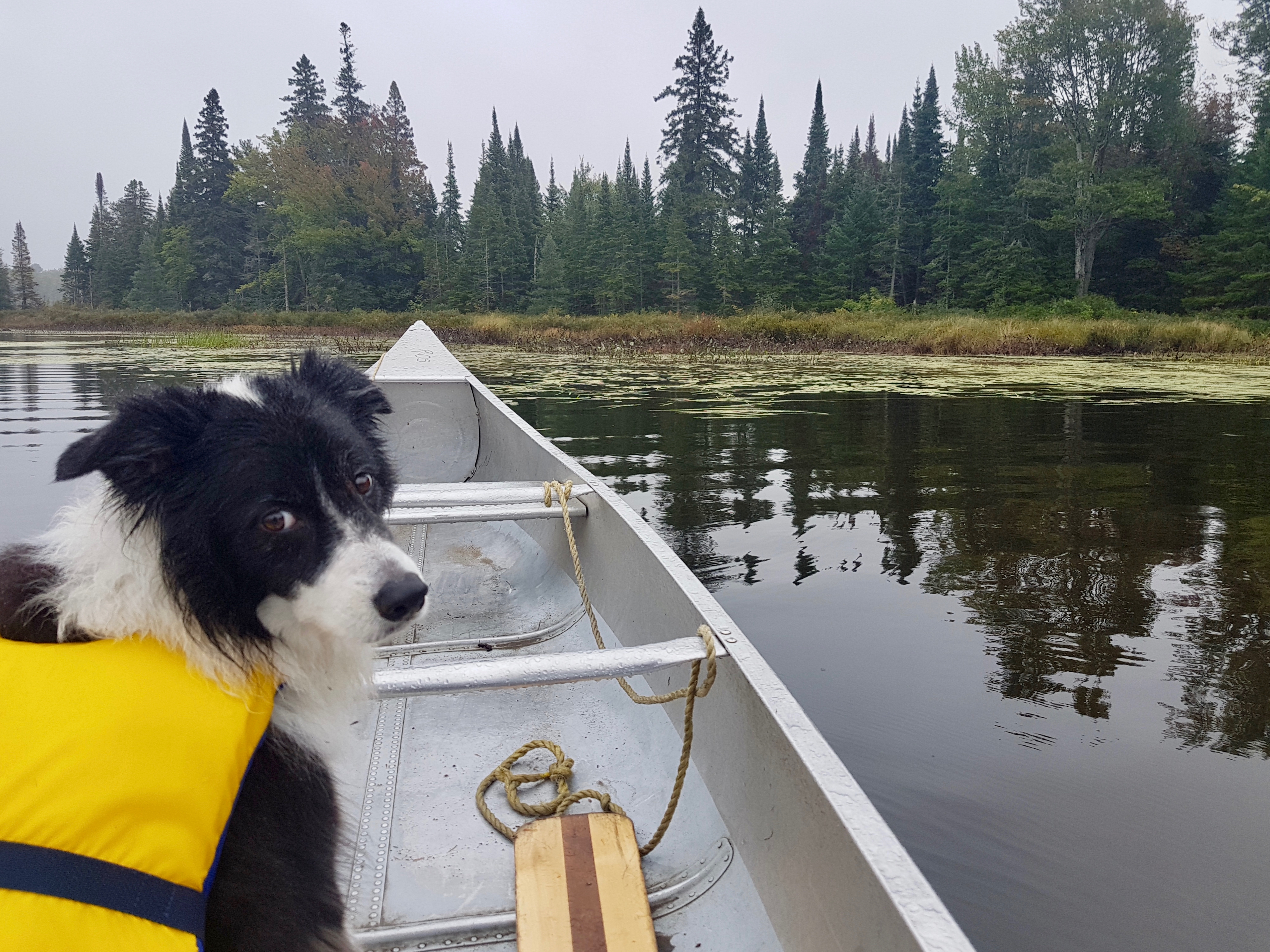 shilo in canoe
