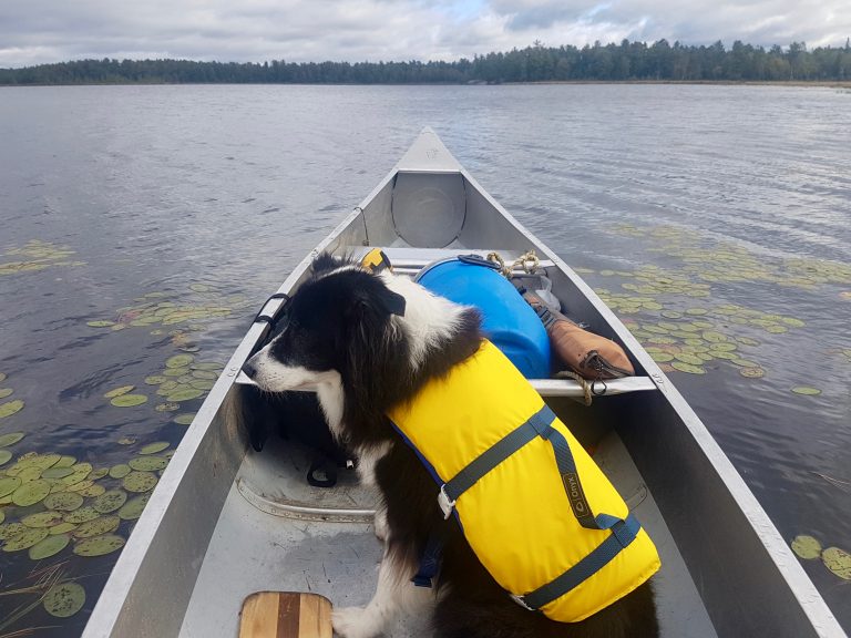 shilo in life jacket 2