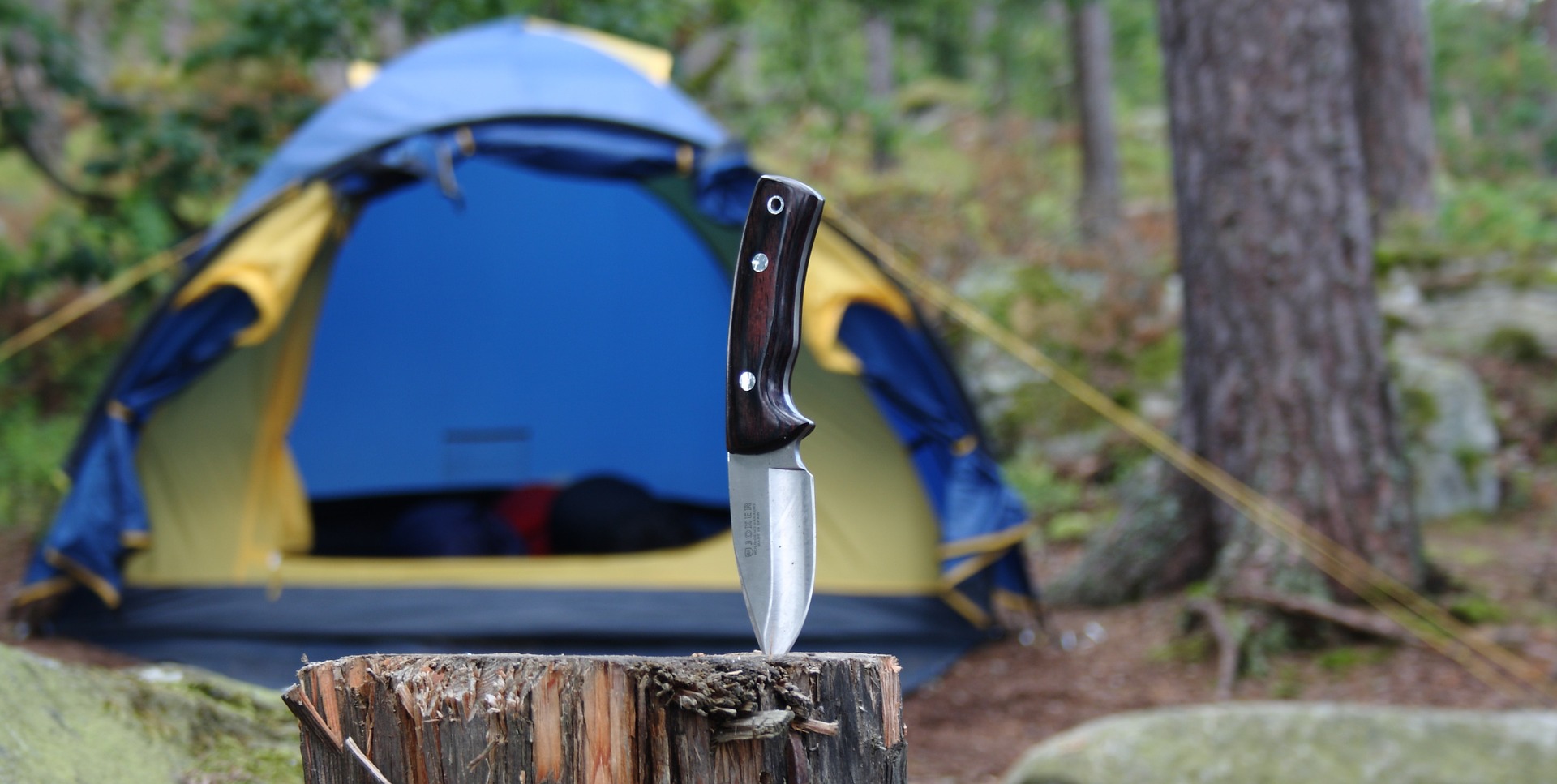 How to Pick the Best Camping Knife