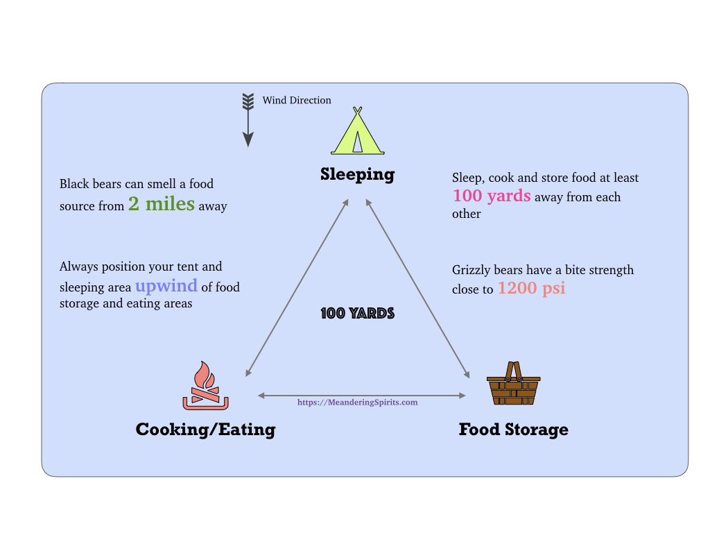 Hanging Food in Bear Country Campsite Distances Infographic