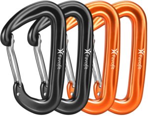 Carabiner clips