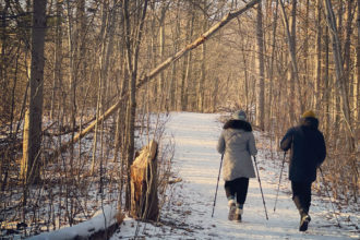 hiking winter trail trekking poles