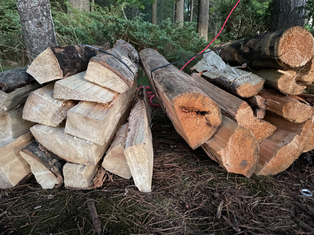 wood fire camping campfire logs bundle
