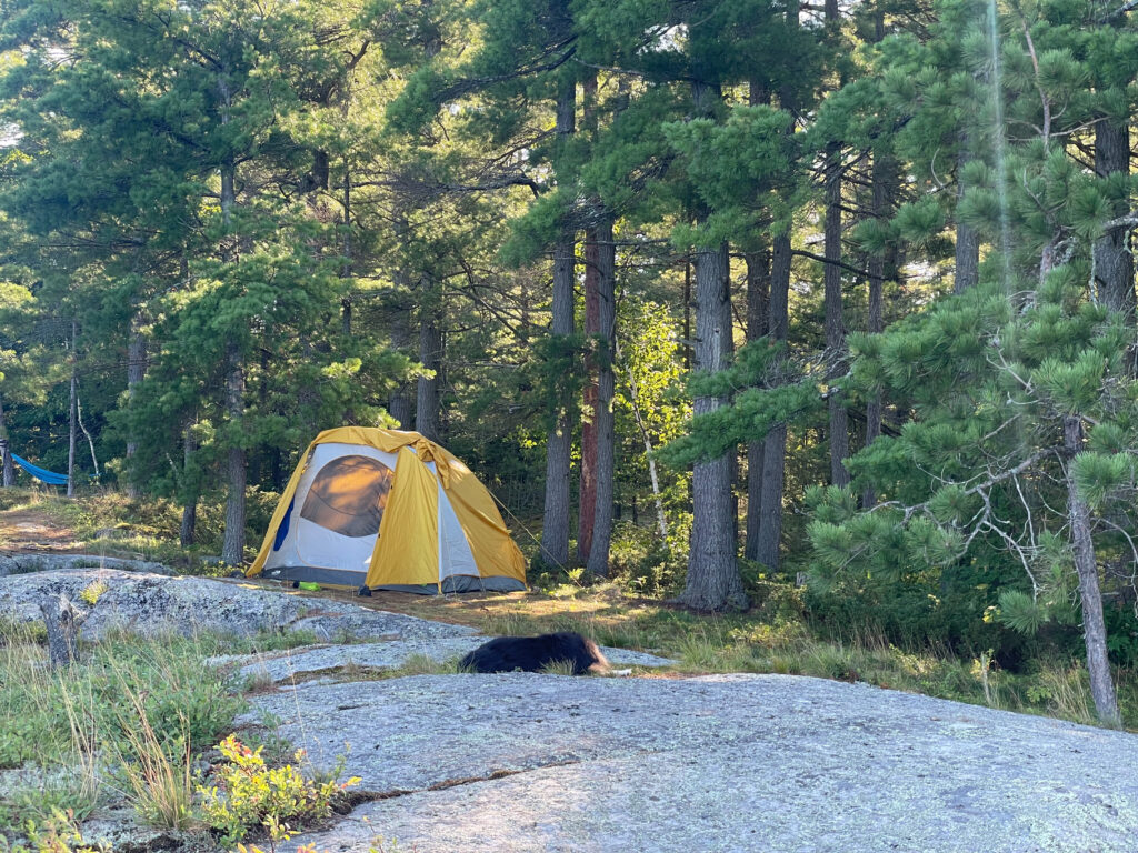 tent location campsite
