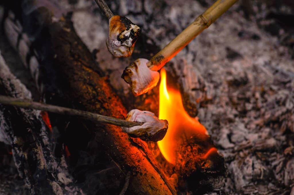 marshmallows, burning, wood texture-4617655.jpg