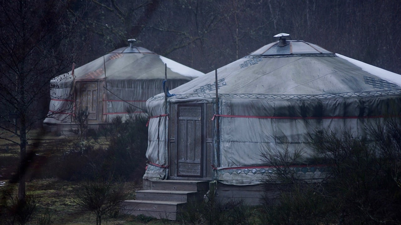 yurt camping shelter tent comfortable